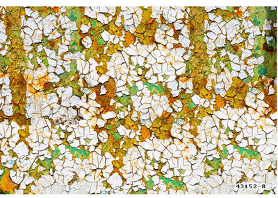 3D обои для фото Урожай старой ржавчины большой росписи Кафе чайный магазин KTV box wallpaper mural
3D обои для фото Урожай старой ржавчины большой росписи Кафе чайный магазин KTV box wallpaper mural