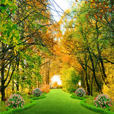 3D photo wallpaper boulevard backdrop living room bathroom lobby custom mural 3D stereo bedroom office decoration wallpaper 
3D photo wallpaper boulevard backdrop living room bathroom lobby custom mural 3D stereo bedroom office decoration wallpaper