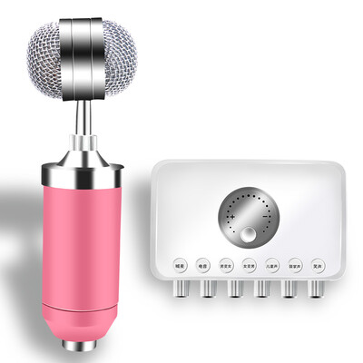 EARISE H66 External Sound Cards Condenser Microphone Set Mobile Computer Singing Dedicated karaoke Anchor Microphone Mobile Phone Recording Equipment White
EARISE H66 External Sound Cards Condenser Microphone Set Mobile Computer Singing Dedicated karaoke Anchor Microphone Mobile Phone Recording Equipment White
