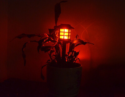 BOGUANG Waterproof LED Solar light Lamp to plug the lights Outdoor solar garden home courtyard Pathway Landscape light walkside
BOGUANG Waterproof LED Solar light Lamp to plug the lights Outdoor solar garden home courtyard Pathway Landscape light walkside