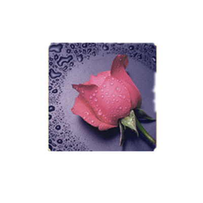 DIY DIY diamond Embroidery beautiful rose 5D diamond painting of Cross stitch kit living room Needlework set embroidery
DIY DIY diamond Embroidery beautiful rose 5D diamond painting of Cross stitch kit living room Needlework set embroidery