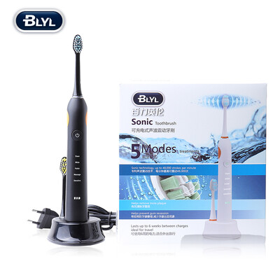 BLYL Sonic Electric Toothbrush For Adults Rechargeable tooth brush head Oral Health Care
BLYL Sonic Electric Toothbrush For Adults Rechargeable tooth brush head Oral Health Care