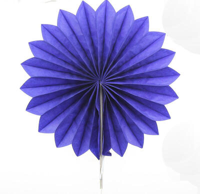 FANLUS Ecape Party Paper Fans Decoration Colored Tissue Paper Fans for Fiesta WeddingBirthday Carnibal Kids Hanging Decoraitons
FANLUS Ecape Party Paper Fans Decoration Colored Tissue Paper Fans for Fiesta WeddingBirthday Carnibal Kids Hanging Decoraitons