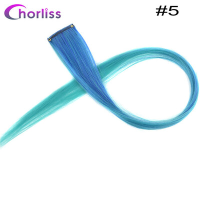 Chorliss Clip In One Piece Hairpieces Ombre Synthetic Clip on Hair Extensions Colored Long Straight Fake Hair for Women Children
Chorliss Clip In One Piece Hairpieces Ombre Synthetic Clip on Hair Extensions Colored Long Straight Fake Hair for Women Children