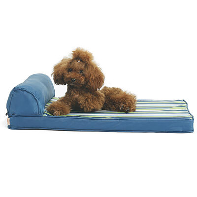 Huaopeng pet (hoopet) fresh striped kennel all removable wash Teddy gold in the large dog beauty by pet bed
Huaopeng pet (hoopet) fresh striped kennel all removable wash Teddy gold in the large dog beauty by pet bed