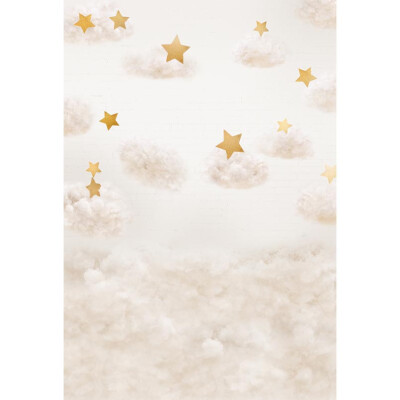 Golden Stars Pink Sea Photo Background 57FT Vinyl Fabric Cloth Digital Printing Wedding Backdrop S-3109
Golden Stars Pink Sea Photo Background 57FT Vinyl Fabric Cloth Digital Printing Wedding Backdrop S-3109