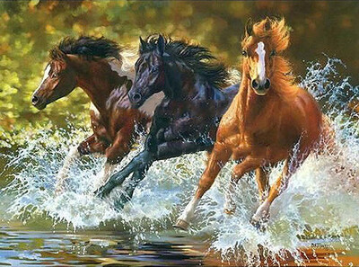 Paint by Numbers Kits Frameless Animals Diy Oil Painting on Canvas for Home Decor-Running Horses
Paint by Numbers Kits Frameless Animals Diy Oil Painting on Canvas for Home Decor-Running Horses