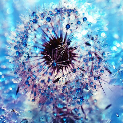 5D DIY Diamond Embroidery Dream Dandelion Sunset Cute Hedgehog Diamond Painting Rhinestone Home Decoration
5D DIY Diamond Embroidery Dream Dandelion Sunset Cute Hedgehog Diamond Painting Rhinestone Home Decoration