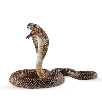 Sile safari model toy early education cognitive toy animal world children animal toy simulation animal model - cobra toy SCHC14733
Sile safari model toy early education cognitive toy animal world children animal toy simulation animal model - cobra toy SCHC14733