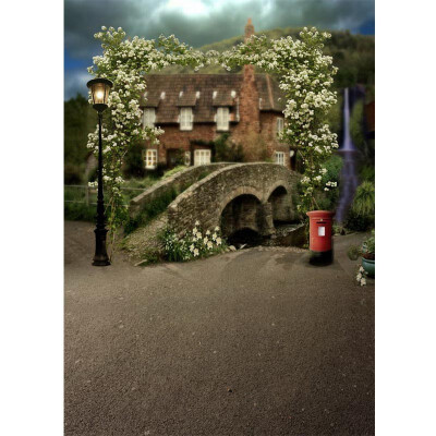 Stone Bridge Photo Backdrop 57FT Vinyl Fabric Cloth Digital Printing Photo Background s-739
Stone Bridge Photo Backdrop 57FT Vinyl Fabric Cloth Digital Printing Photo Background s-739