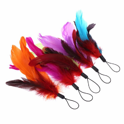 5PCS Colorful Natural Long Feather Pet Kitten Cat Teaser Cute Design Replacement Refill Feather for Cat Rod Wand
5PCS Colorful Natural Long Feather Pet Kitten Cat Teaser Cute Design Replacement Refill Feather for Cat Rod Wand