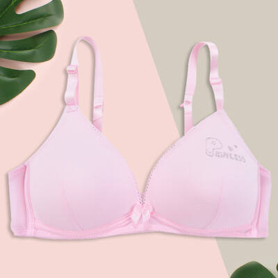 Alice & Aurora Girl Bra High School Student No Steel Ring Underwear Cotton Girls Bra X6022 Pink 75A
Alice & Aurora Girl Bra High School Student No Steel Ring Underwear Cotton Girls Bra X6022 Pink 75A