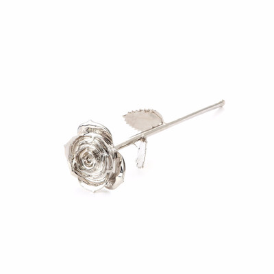 DAYA Gifts for Women Long Stem Dipped 24k Gold Rose in Gift Box with Clear Display Stand Best Gift for ValentinesMothersAnniver
DAYA Gifts for Women Long Stem Dipped 24k Gold Rose in Gift Box with Clear Display Stand Best Gift for ValentinesMothersAnniver