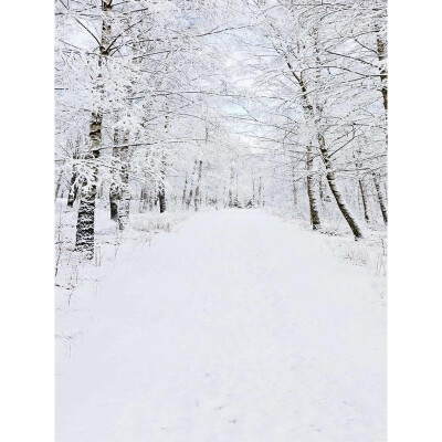Xmas Forest Snow Photo Backdrop 57FT Vinyl Fabric Cloth Digital Printing Photo Background st-588
Xmas Forest Snow Photo Backdrop 57FT Vinyl Fabric Cloth Digital Printing Photo Background st-588