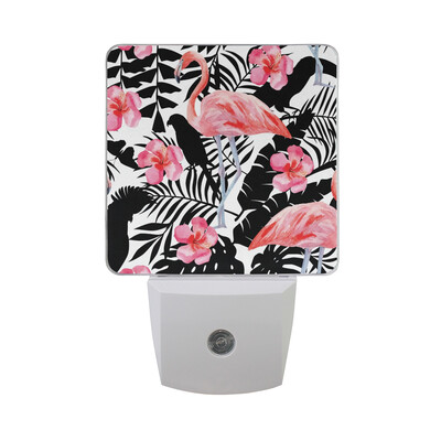 ALAZA LED Night Light With Smart Dusk To Dawn SensorFlowers Andtoucan Tropical Pattern Plug In Night Light
ALAZA LED Night Light With Smart Dusk To Dawn SensorFlowers Andtoucan Tropical Pattern Plug In Night Light