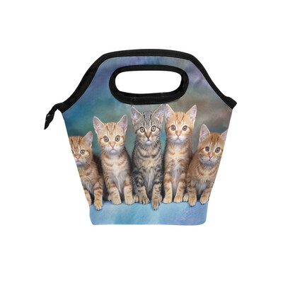 Insulated Lunch Tote Bag Five Cat Travel Picnic Lunch Handbags Portable Zipper Lunch Bag Box
Insulated Lunch Tote Bag Five Cat Travel Picnic Lunch Handbags Portable Zipper Lunch Bag Box