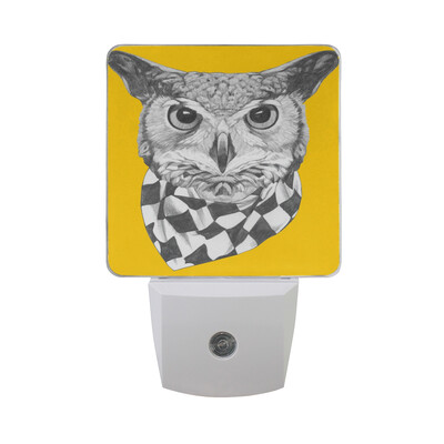 ALAZA LED Night Light With Smart Dusk To Dawn SensorOwl Vintage Flowers Yellow Plug In Night Light
ALAZA LED Night Light With Smart Dusk To Dawn SensorOwl Vintage Flowers Yellow Plug In Night Light