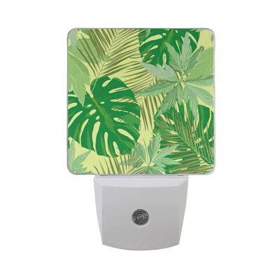 ALAZA LED Night Light With Smart Dusk To Dawn SensorWatercolor Cactus Plug In Night Light
ALAZA LED Night Light With Smart Dusk To Dawn SensorWatercolor Cactus Plug In Night Light