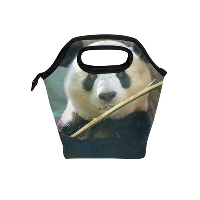 Insulated Lunch Tote Bag Cute Panda Travel Picnic Lunch Handbags Portable Zipper Lunch Bag Box
Insulated Lunch Tote Bag Cute Panda Travel Picnic Lunch Handbags Portable Zipper Lunch Bag Box