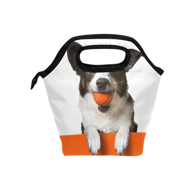 Lunch Bag Tote Bag Orange Dog Travel Picnic Organizer Lunch Holder Handbags Lunch Bag Box for Office
Lunch Bag Tote Bag Orange Dog Travel Picnic Organizer Lunch Holder Handbags Lunch Bag Box for Office
