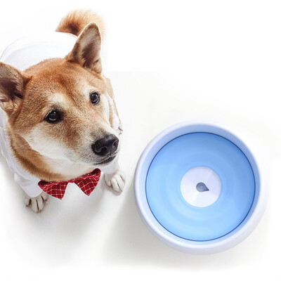 Pet Dog Drinking Floating Bowl Dog Water Bowl Spill-proof Water Bowl with Floating Disk for Dogs Cats Pet
Pet Dog Drinking Floating Bowl Dog Water Bowl Spill-proof Water Bowl with Floating Disk for Dogs Cats Pet