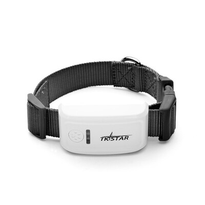 TK909 Mini Global Locator Real Time Pet GPS Locators for Pet Dog&Cat GPS Collar Satellite Tracking
TK909 Mini Global Locator Real Time Pet GPS Locators for Pet Dog&Cat GPS Collar Satellite Tracking