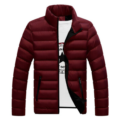 Mens Fashion Casual Warm Stand Collar Long Sleeve Solid Color All-match Slim Short Coat
Mens Fashion Casual Warm Stand Collar Long Sleeve Solid Color All-match Slim Short Coat