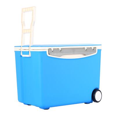 Amausa Wheeled Portable Car Home Picnic BBQ Fishing Insulation Box Refrigerator 50L C-500 Blue
Amausa Wheeled Portable Car Home Picnic BBQ Fishing Insulation Box Refrigerator 50L C-500 Blue
