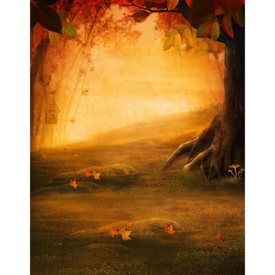 Morning Sun Fog Photo Backdrop 57FT Vinyl Fabric Cloth Digital Printing Photo Background for Birthday s-2274
Morning Sun Fog Photo Backdrop 57FT Vinyl Fabric Cloth Digital Printing Photo Background for Birthday s-2274