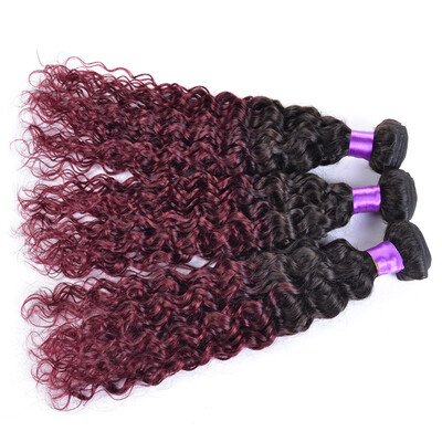 brazilian virgin hair Afro Kinky Curly ombre 1B99J burgundy wet&wavy human hair weave bundles deal
brazilian virgin hair Afro Kinky Curly ombre 1B99J burgundy wet&wavy human hair weave bundles deal