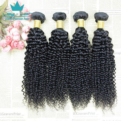 Brazilian Virgin Hair Curly Bundles 4 Bundles Kinky Curly Virgin Hair Bundle Deals Jet Black Curly Weave Human Hair Extensions
Brazilian Virgin Hair Curly Bundles 4 Bundles Kinky Curly Virgin Hair Bundle Deals Jet Black Curly Weave Human Hair Extensions