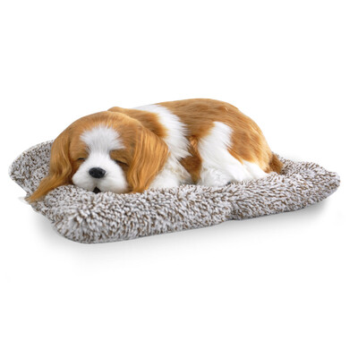 Plush toys simulation dog & cat Vehicle Decoration Baby Sleeping Appease Doll Kids Birthday Gifts
Plush toys simulation dog & cat Vehicle Decoration Baby Sleeping Appease Doll Kids Birthday Gifts