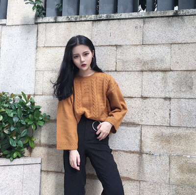 Autumn and winter virgin sweater sweater sweater women loose head coat long sleeve white backing coat
Autumn and winter virgin sweater sweater sweater women loose head coat long sleeve white backing coat
