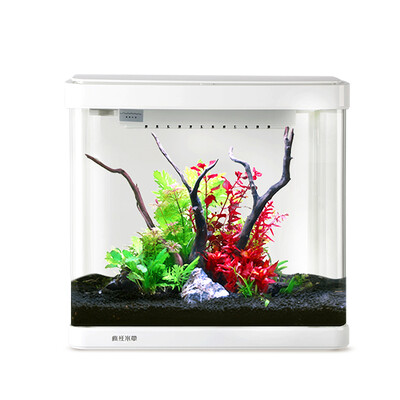 Crazy Aquarium ST-510 Aquarium Aquarium Eco Cylindrical Scene with Filtration Oxygenated Combustion Three-in-One Filter Fish Cylinder Lamp White
Crazy Aquarium ST-510 Aquarium Aquarium Eco Cylindrical Scene with Filtration Oxygenated Combustion Three-in-One Filter Fish Cylinder Lamp White