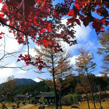 奉化商量岗旅游度假村