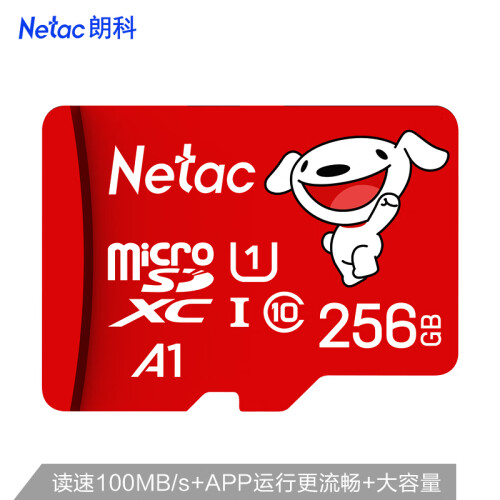 【京东联名款】朗科（Netac）256GB TF（MicroSD）存储卡A1 U1 C10 读速100MB/s 行车记录仪摄像机手机内存卡