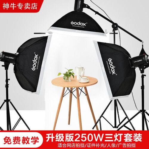 神牛（Godox） E250摄影棚闪光灯摄影灯套装 鞋包服装文玩家具250w柔光灯 补光灯 三灯-A套装(小商品拍摄)