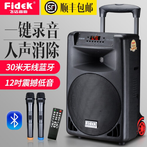 飞达（fidek） 广场舞音响播放器户外演出跳舞音箱带无线话筒蓝牙大音量拉杆移动专业唱K歌大功率音响 12寸标准版（套餐2）