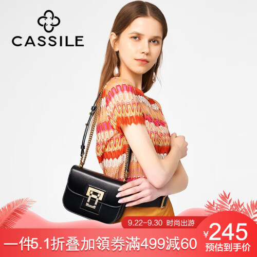 CASSILE卡思乐女包单肩包2019新款牛皮链条包时尚锁扣马鞍包百搭斜挎小包 黑色-小号