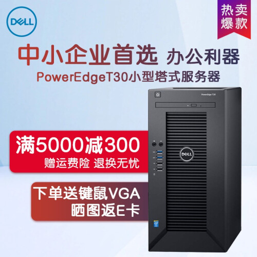 戴尔（DELL）T30小型塔式服务器主机 台式电脑整机箱 支持WIN7 至强四核E3-1225V5 3.3GHz 8G内存/1*1T硬盘【爆款】