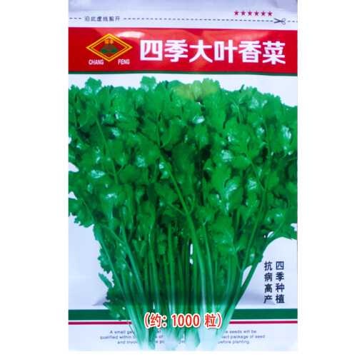 花先知 蔬菜种子 大叶菠菜 香菜 朝天椒 大甜椒 奶油生菜 红心萝卜小青菜 种子 彩色包装 正规厂家 四季大叶香菜种子 1 包（原厂包装）