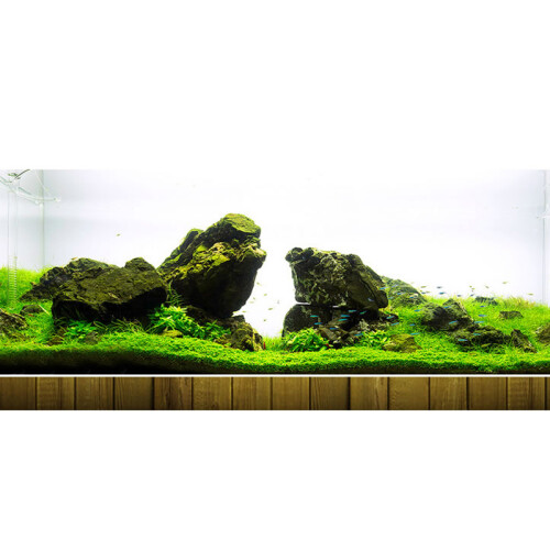 鱼缸造景套餐鱼缸装饰活体水草泥陶粒砂底砂对叶牛毛水草种子套餐 青龙石造景 30cm套餐