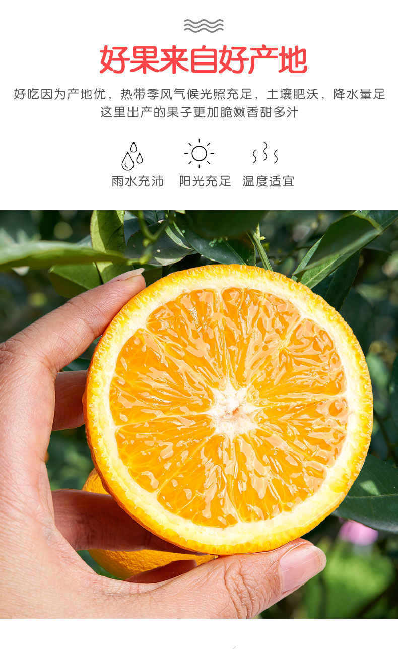 5°橙 脐之橙 3kg装 钻石果 新鲜橙 年货节水果礼盒 金狐狸沃柑 3.