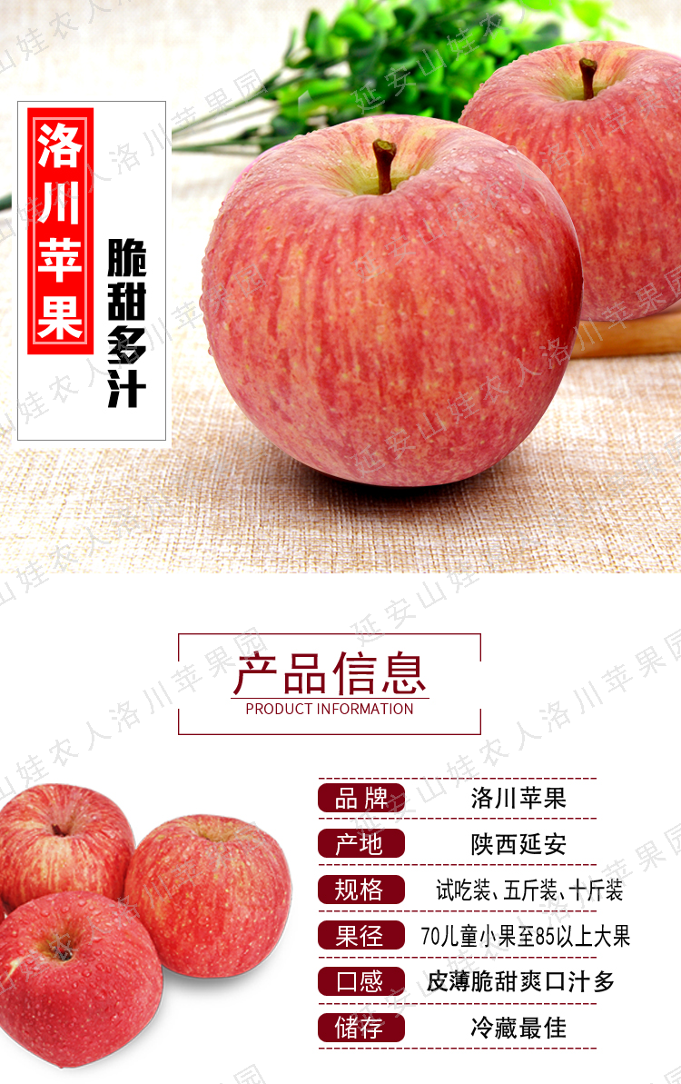 陕西洛川苹果陕北高原红富士脆甜多汁新鲜水果当季现摘原产地发货