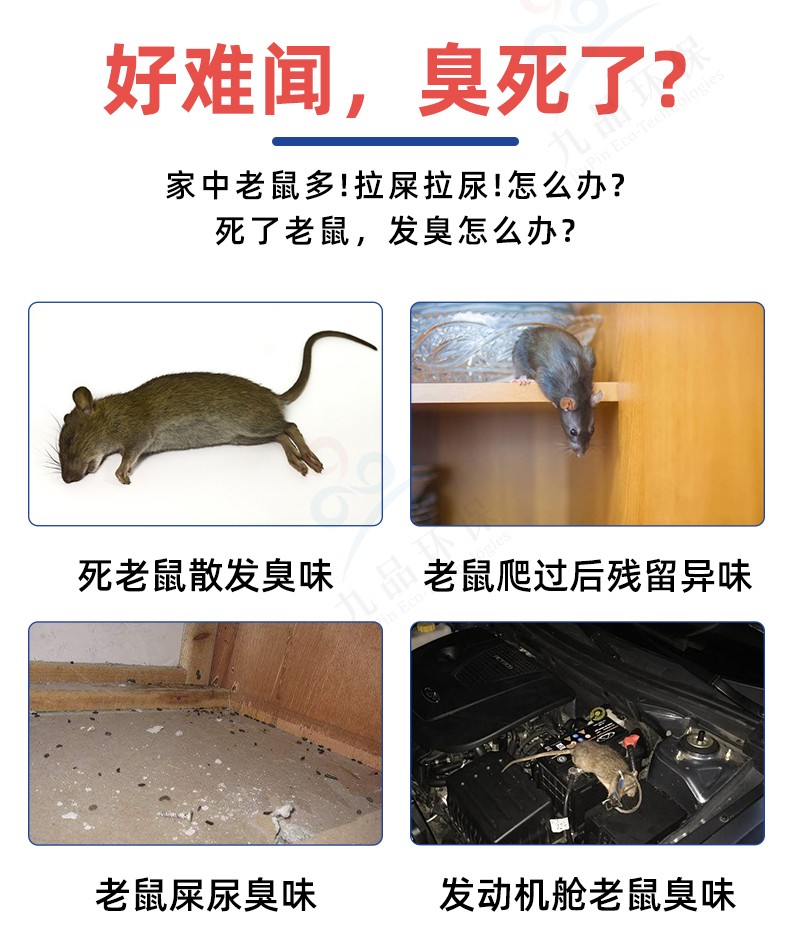 去除老鼠臭味死老鼠臭尸屎味办公室天花板汽车内发动机舱鼠尸腐烂尿骚