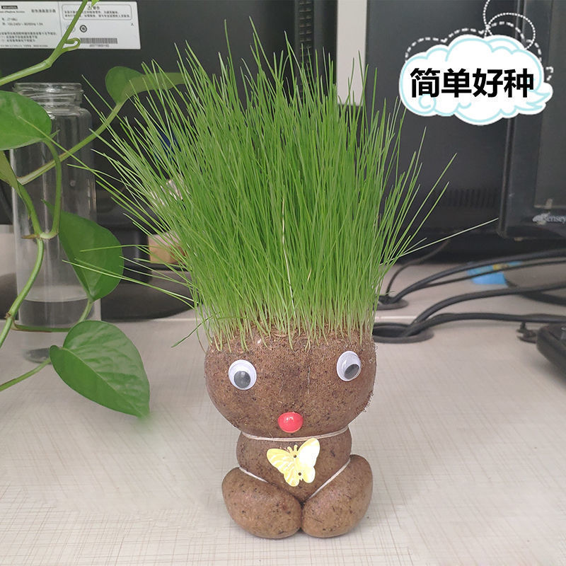 汐岩抖音香草长草娃娃可爱迷你小草人植物绿植长草迷你盆栽创意小植物