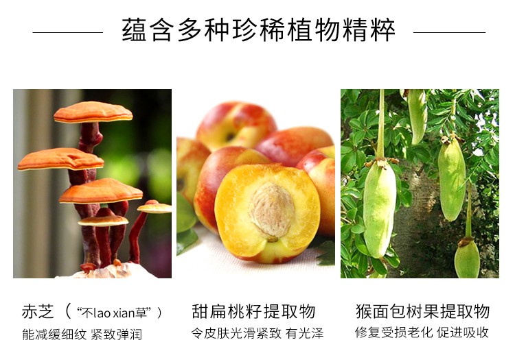 片仔癀牌灵芝驻颜调肤水120ml 保湿补水抗皱淡化细纹皱纹紧致面部肌肤爽肤水 （保湿补水 滋润肌肤 紧致）