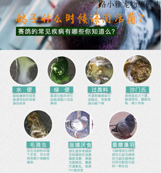 鸽子用品鸽药赛鸽中药粉肠道水便不爱飞信鸽呼吸道毛滴虫粉剂赛鸽麟钙