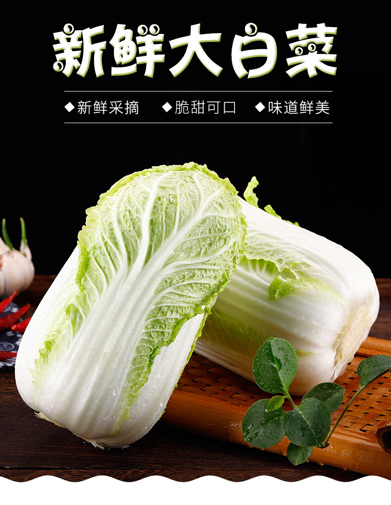 云南高原大白菜10斤农家新鲜卷心沙拉椰菜绿甘蓝娃娃菜批发