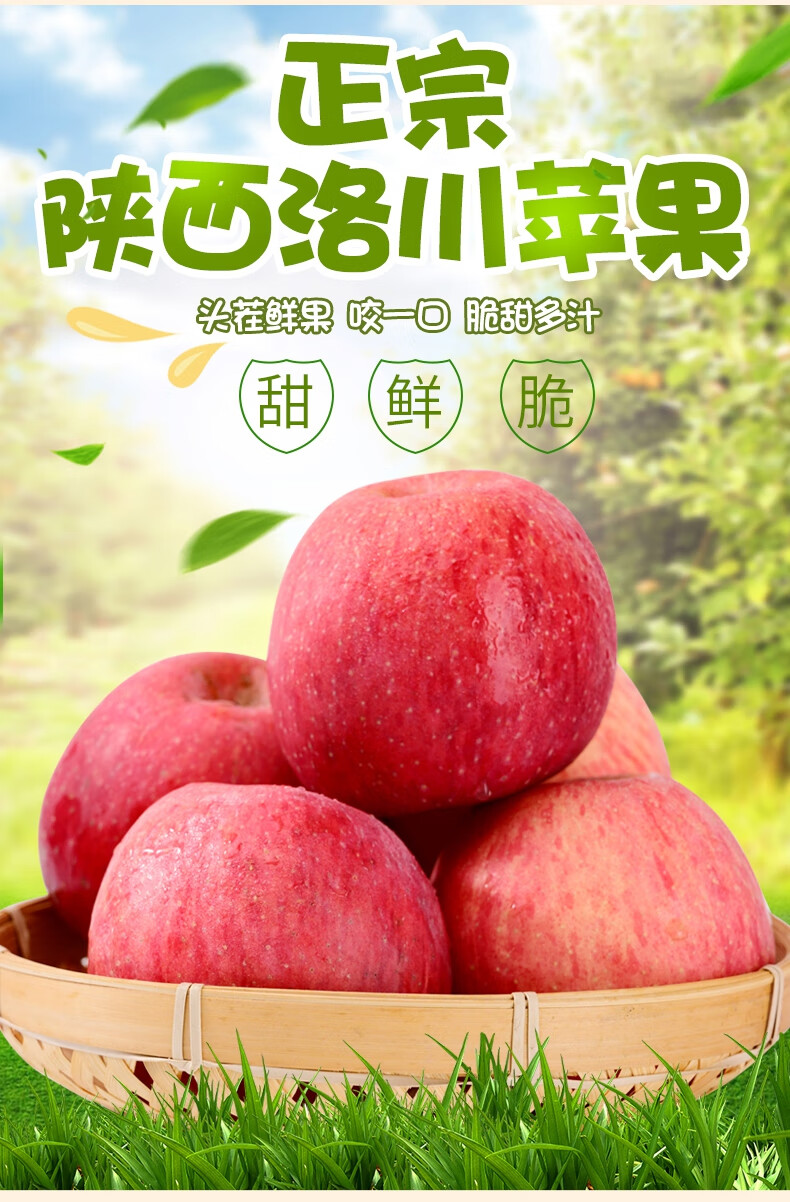 正宗陕西洛川苹果一级红富士水果新鲜冰糖心脆甜多汁 9斤 85mm(含)